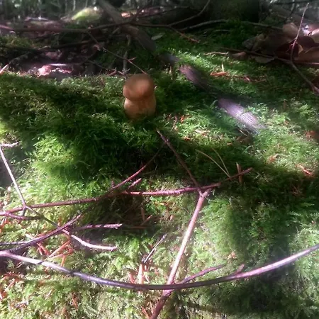 Holiday home Na Uboczu Lubocino